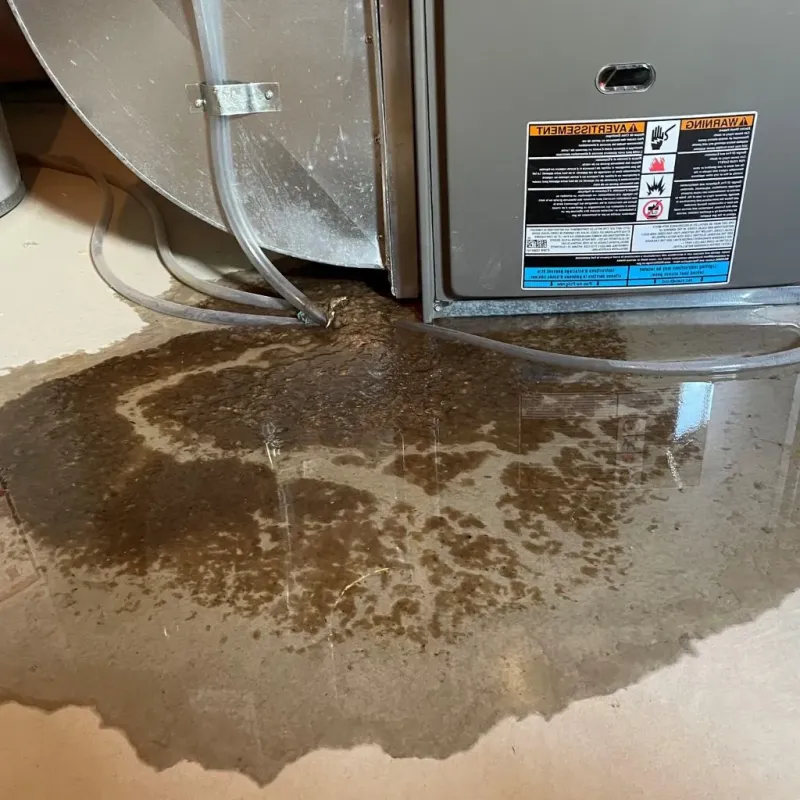 Pipe Burst and Leak Restoration in Barre, VT
